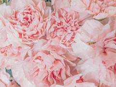 지독하게 아름다운. 지독하게 증오스러운.