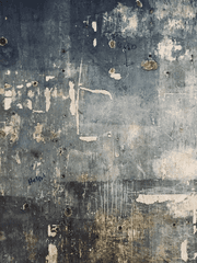 [진격의 거인] 연성글