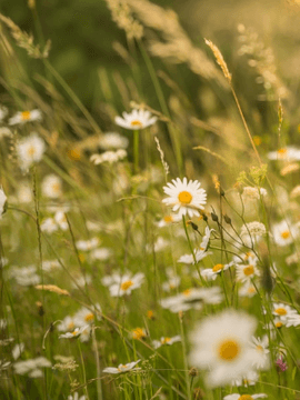 어느 날 아이가 생겼다