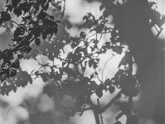 좋아하지 마 上