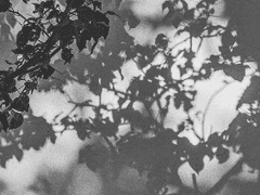 좋아하지 마 下