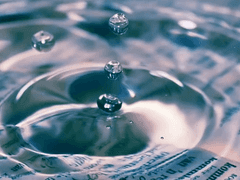 모든 것을 거짓이라 치부할 수 없기에