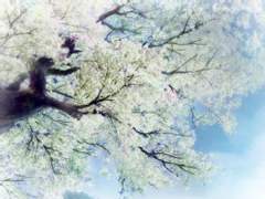 [망기무선] 고소로 외전 - 청혼