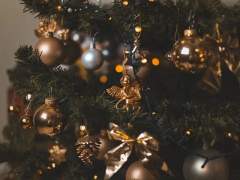 나는 버려지지 않으려 아무것도 잡지 않는다