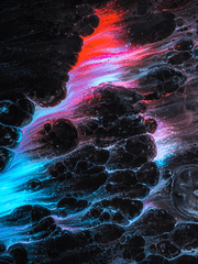 (오토로지) 동반성