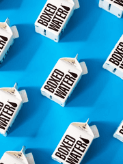 스타트업 수난기