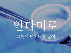 너와 나의 계절