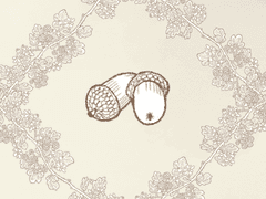 찔레 잡화점: 숲 속 만찬 재료