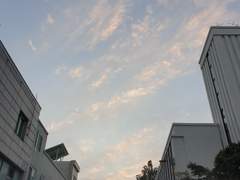 필랜백 로맨스 if 커미션글