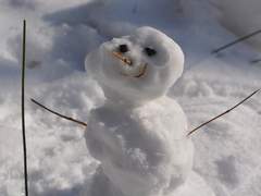 낙원 아파트 사랑 상가