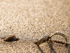 [랍딘] 뭔가 바뀐 사돈지간 - 中