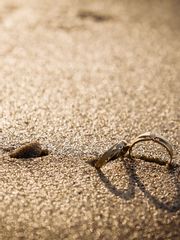 뭔가 바뀐 사돈지간