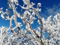 또바기 그린내 2