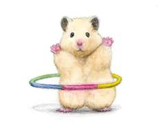 [뷔진] 나의 햄스터를 소개합니다 上