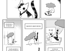 고양이 만화