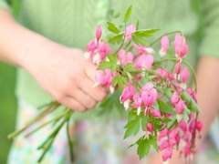 ‘말’의 운명/이도은