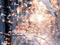 백호승현 / 자기야, 밖은 너무 추워.