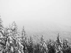 겨울요정 이야기