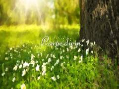 빛 바랜 이야기