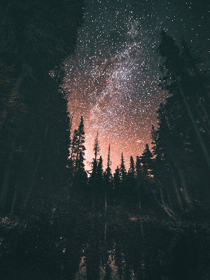 [ 하백운 / XY / 18 ]