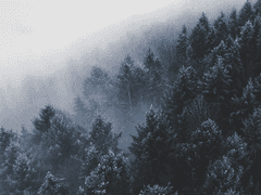 0314 루크 에스토르