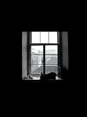 내가 왜 이런 걸