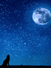 프레센티아 F. 프라이하이트