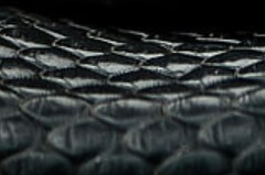 유스툼_미르 디 한니발_18세