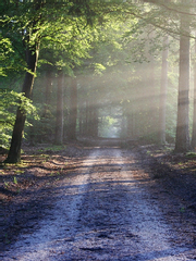 인간관계 마스터하기