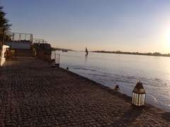 2020년 2월 이집트 여행기 모음집