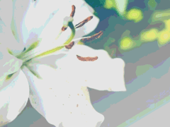 다시 한번 그려진