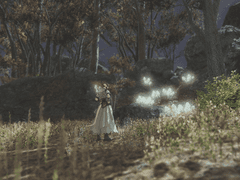 낮과 밤의 항해 : 다섯 번째 이야기