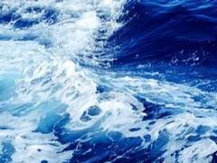 거룩한 애정이란.