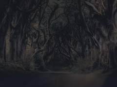 나의 잘못된 선지자에게