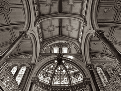 순수한 피를 위하여