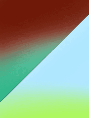 작은 식물의 이야기