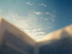 E. 책 좋아하는 프란체스