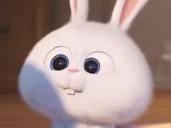 여기는 반인반수심리상담센터입니다! 2