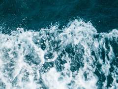 마리사.D.레이나