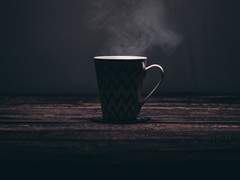 식물이 가득한 그 카페.