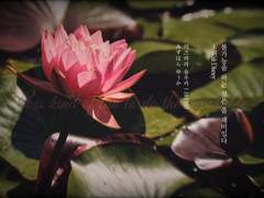 조용히 곁을 지킬 것이라