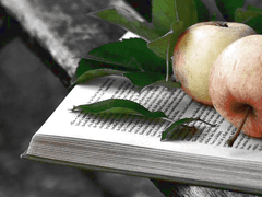 어떤 일이 생기더라도 지금 이대로