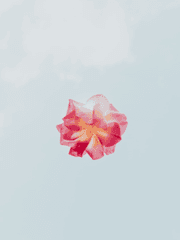 난 너한테만 그러나봐