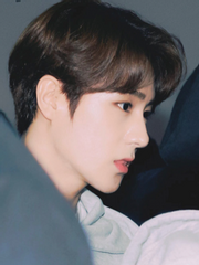 뛰는 놈 위에 나는 놈