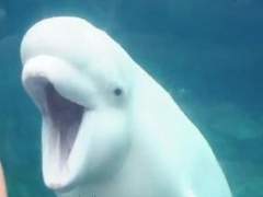 ㄴr쁜 쌍둥e에게 끌ㄹi는 ㅇi유☆ 8