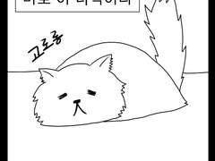 고양이 관찰일기