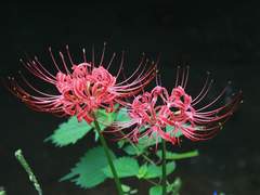 그토록 아팠던 기억은 영원히 잊혀지지 않는다.