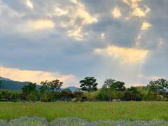 일상을 돌아보다.