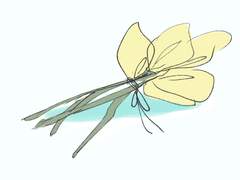 Chopin - etude Op.10 no.3