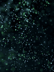 당신의 주인공에게 투표하세요